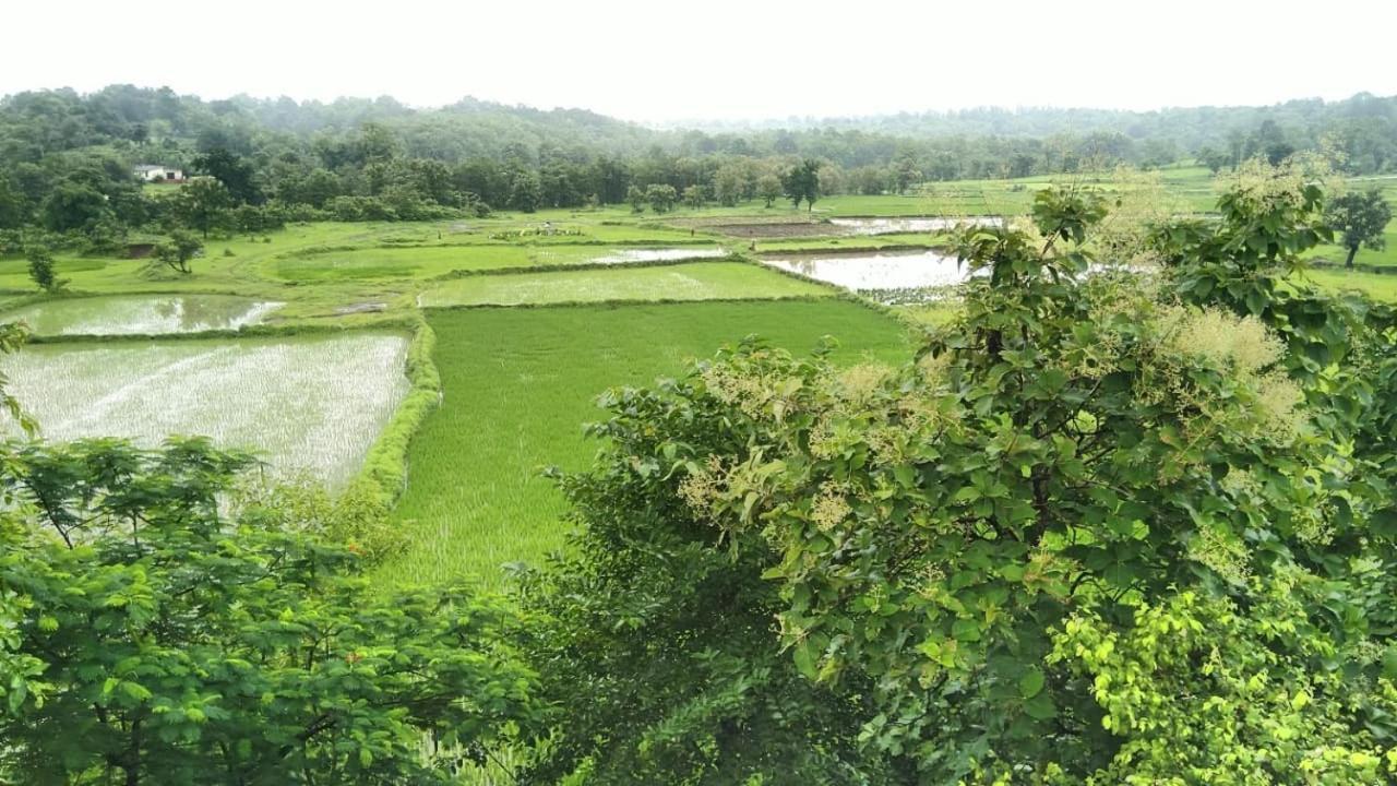 Karjat Villa 외부 사진